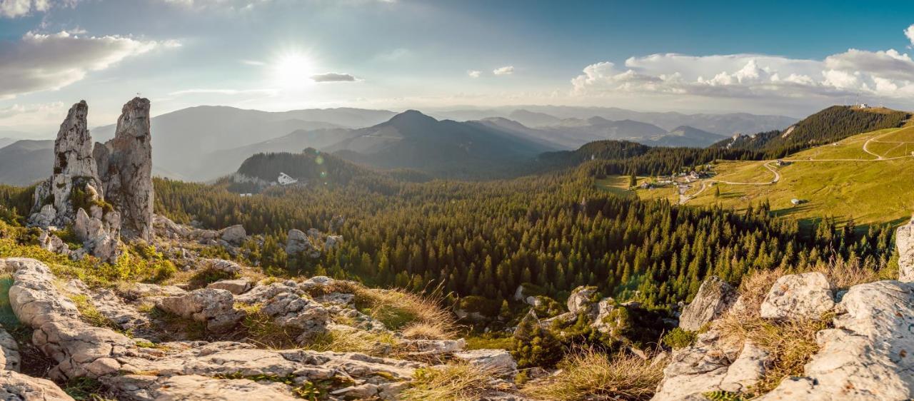 Vila Genia Campulung Moldovenesc Bagian luar foto